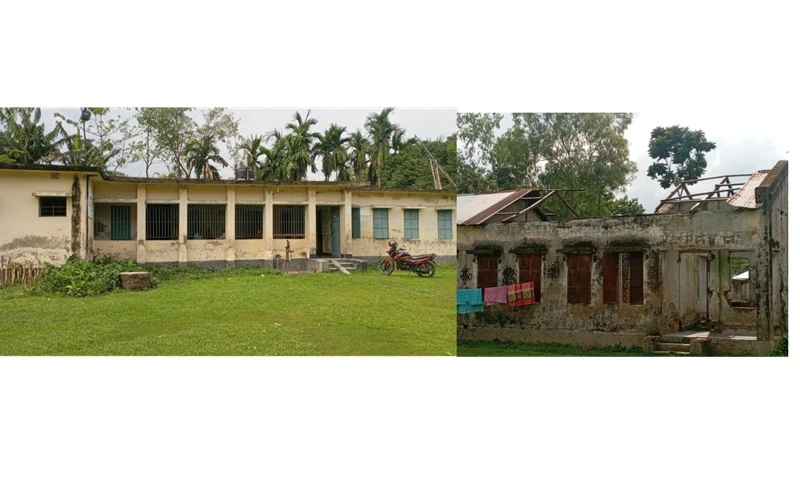 news-picture
